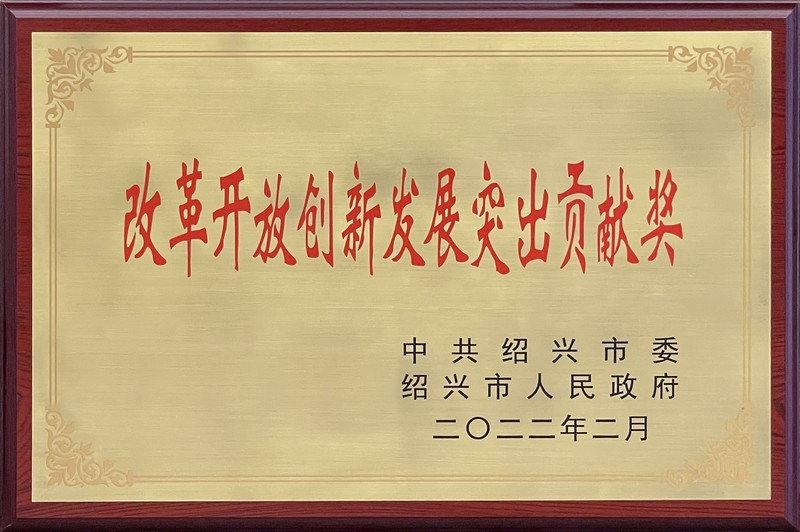 2021年度“改革開放創新發展突出貢獻獎”.jpg